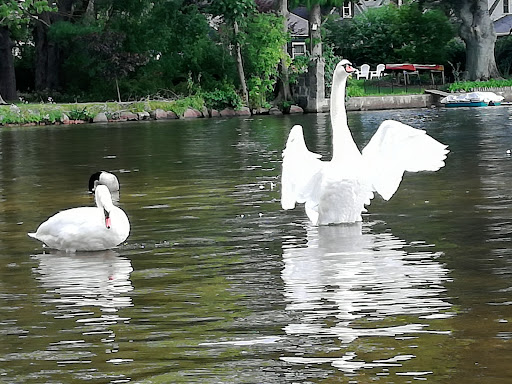 Golf Club «Braintree Municipal Golf Course», reviews and photos, 101 Jefferson St, Braintree, MA 02184, USA