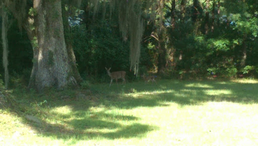 Golf Course «SouthWood Golf Club», reviews and photos, 3750 Grove Park Drive, Tallahassee, FL 32311, USA