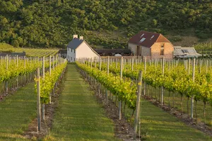 Rathfinny Wine Estate - The Flint Barns image