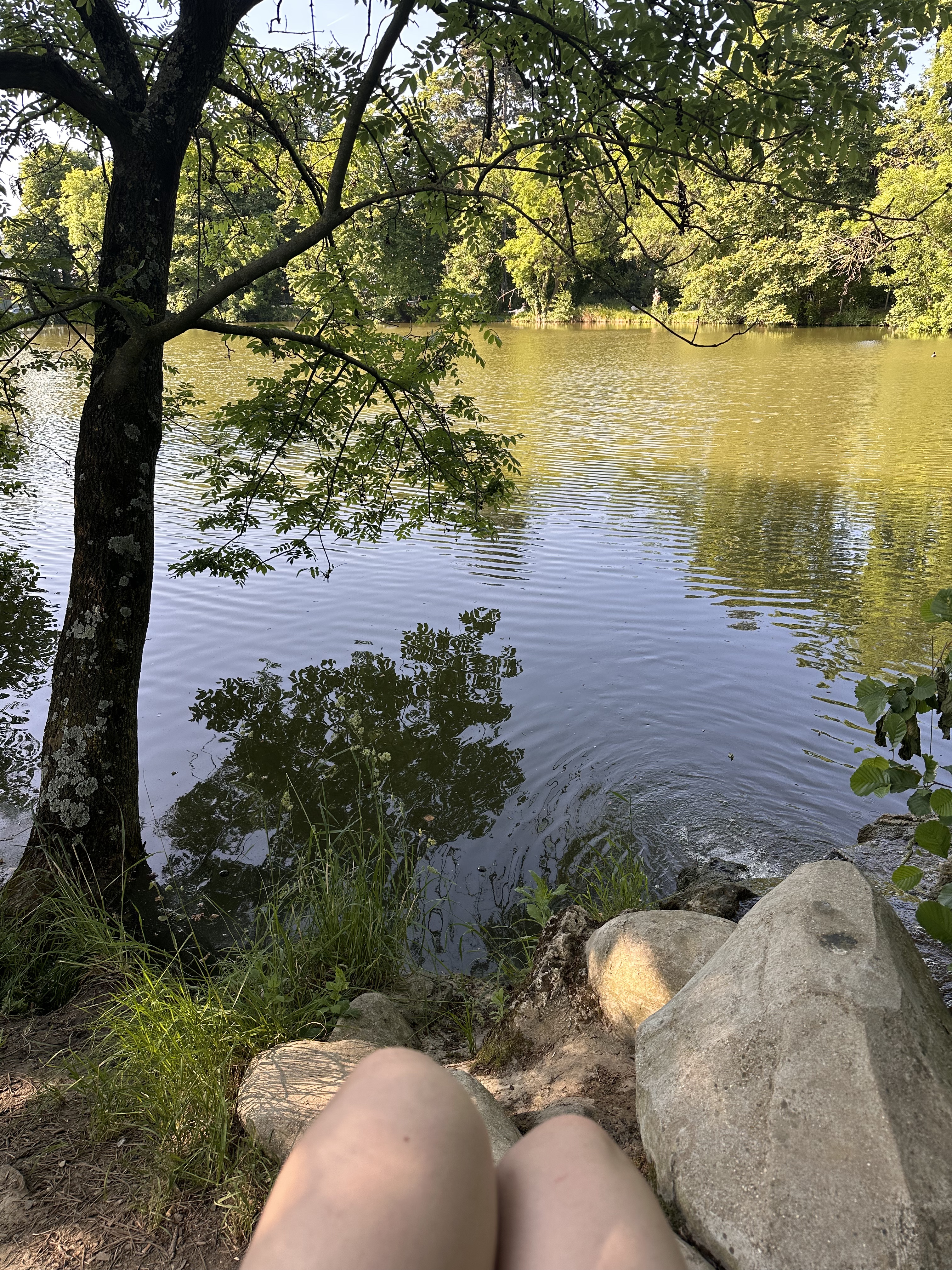 Photo n° 16 de l'avis de Rita.P fait le 08/06/2023 à 21:16