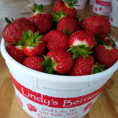 Lindy's Berries