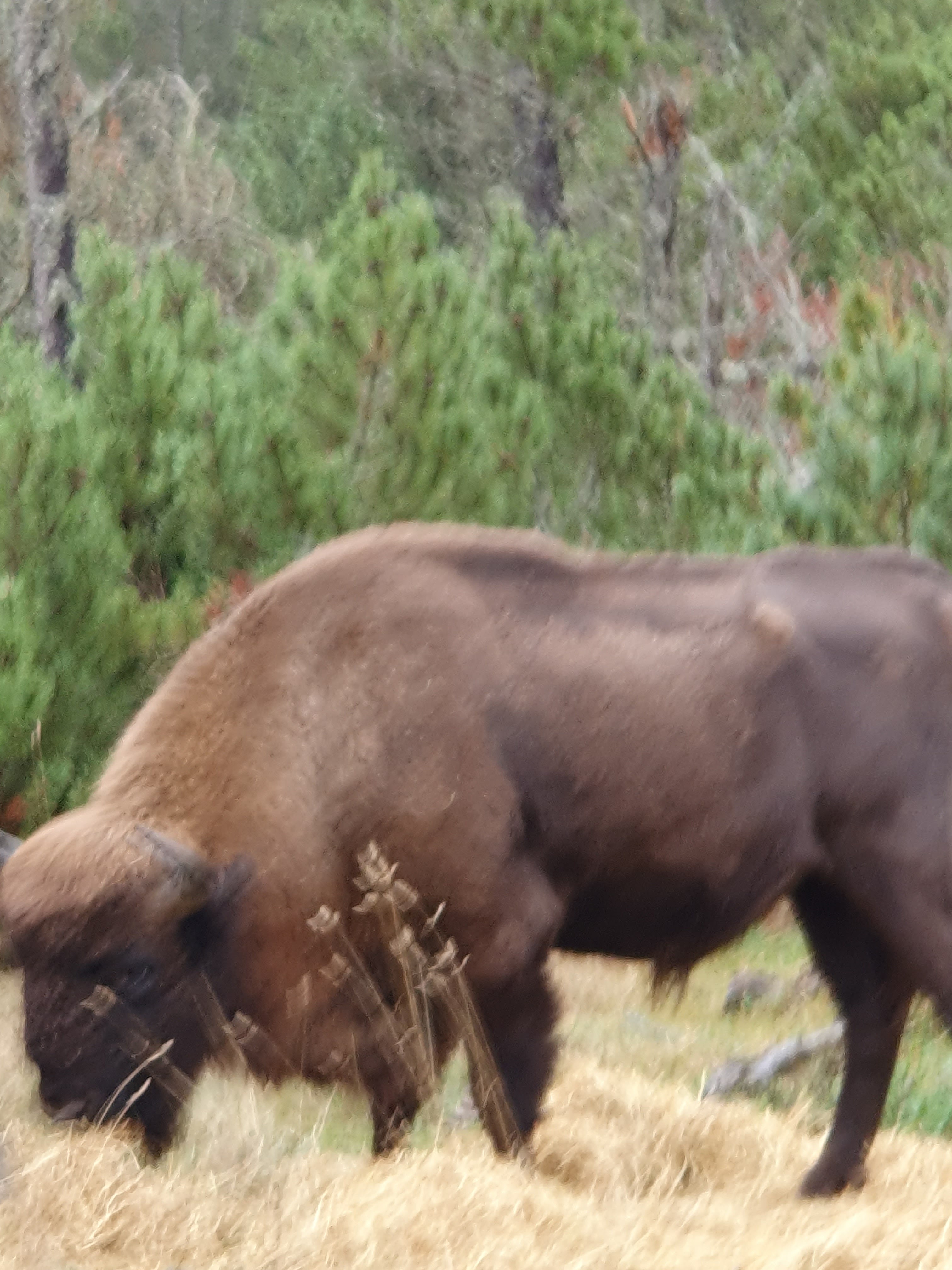 Photo n° 1 de l'avis de Pascal.e fait le 01/11/2023 à 16:13