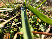 Irrigation Solutions - Photo 2 - Car repair in , Fayetteville