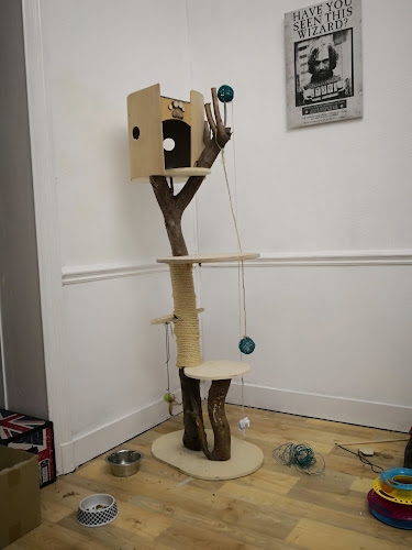 Jetsesteenweg 404, 1081 Koekelberg