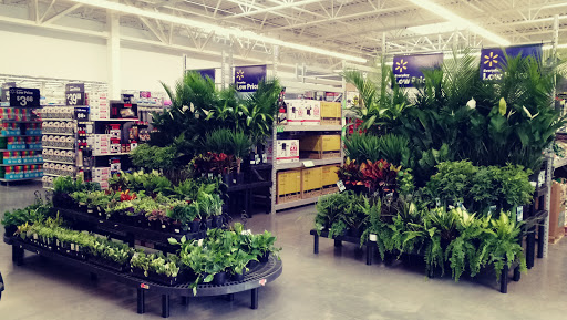 Discount Store «Walmart», reviews and photos, 701 W Princeton Dr, Princeton, TX 75407, USA