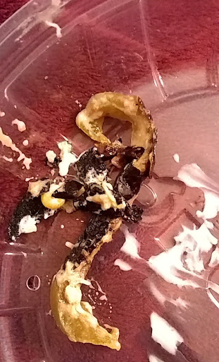 Mexican Restaurant «QDOBA Mexican Eats», reviews and photos, 398 W 14 Mile Rd, Troy, MI 48083, USA