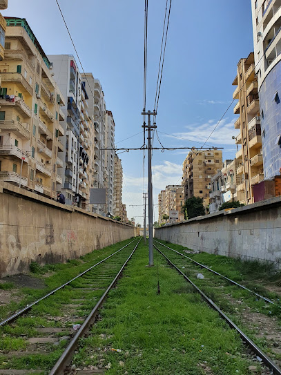 وسائل النقل العام