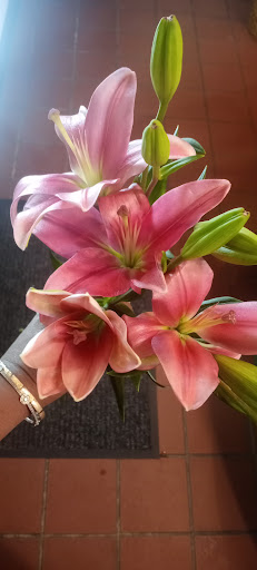 Florist «Thrifty Florist», reviews and photos, 211 S Telegraph Rd, Pontiac, MI 48341, USA