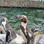 Photo n°6 de l'avis de Peter.a fait le 27/06/2023 à 12:34 sur le  Restaurant Rosencafé à Walsrode