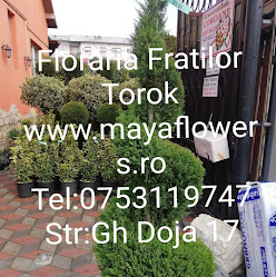 Floraria Fratilor Torok
