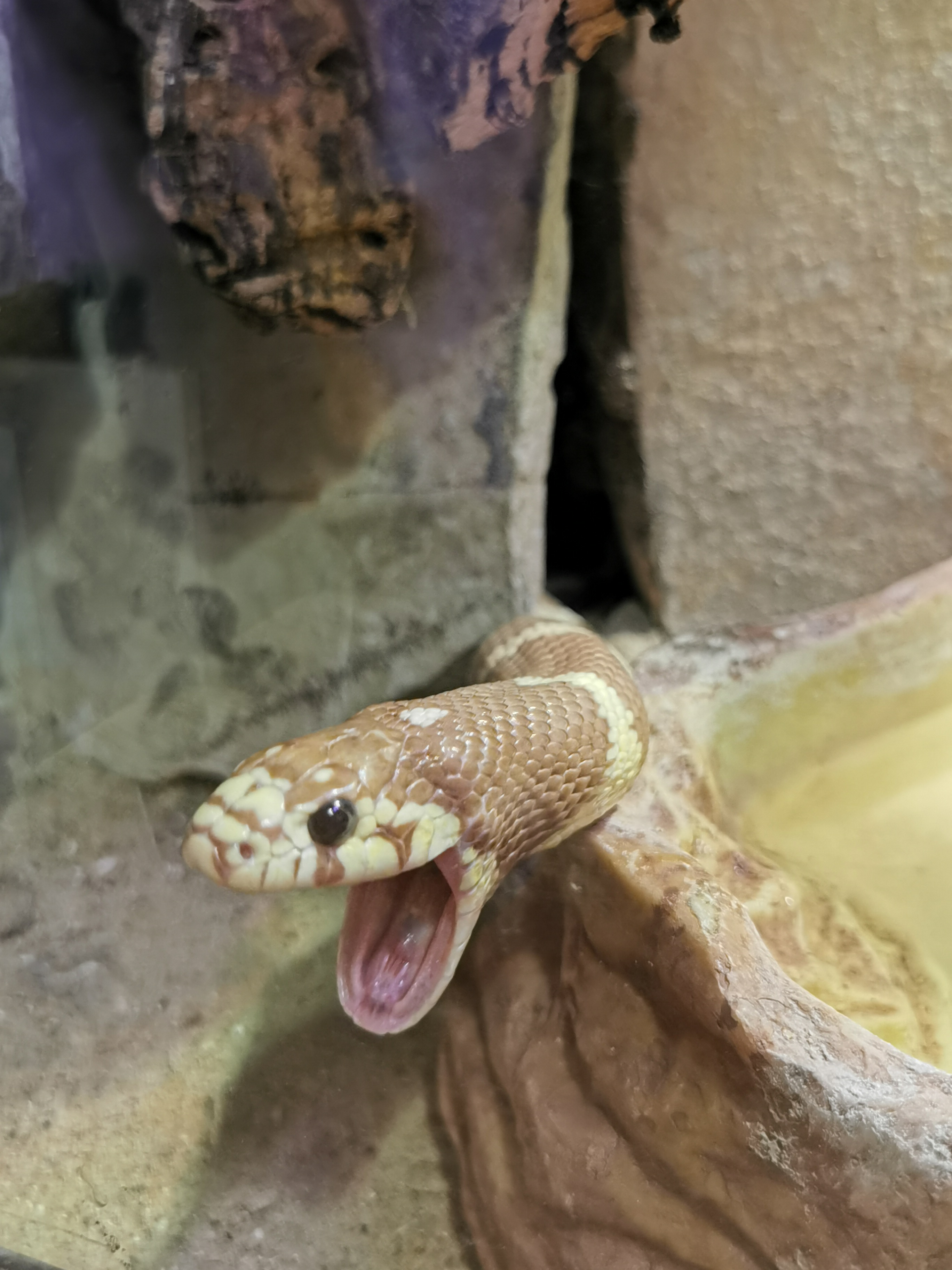 Photo n° 2 de l'avis de Bianca.a fait le 05/06/2022 à 15:50