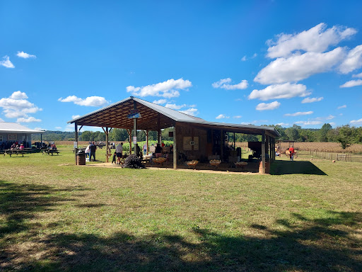 Miniature Golf Course «Christian Way Farm & Mini Golf», reviews and photos, 19590 Linville Rd, Hopkinsville, KY 42240, USA