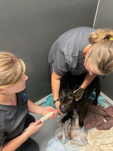 Aloha Veterinary Hospital image