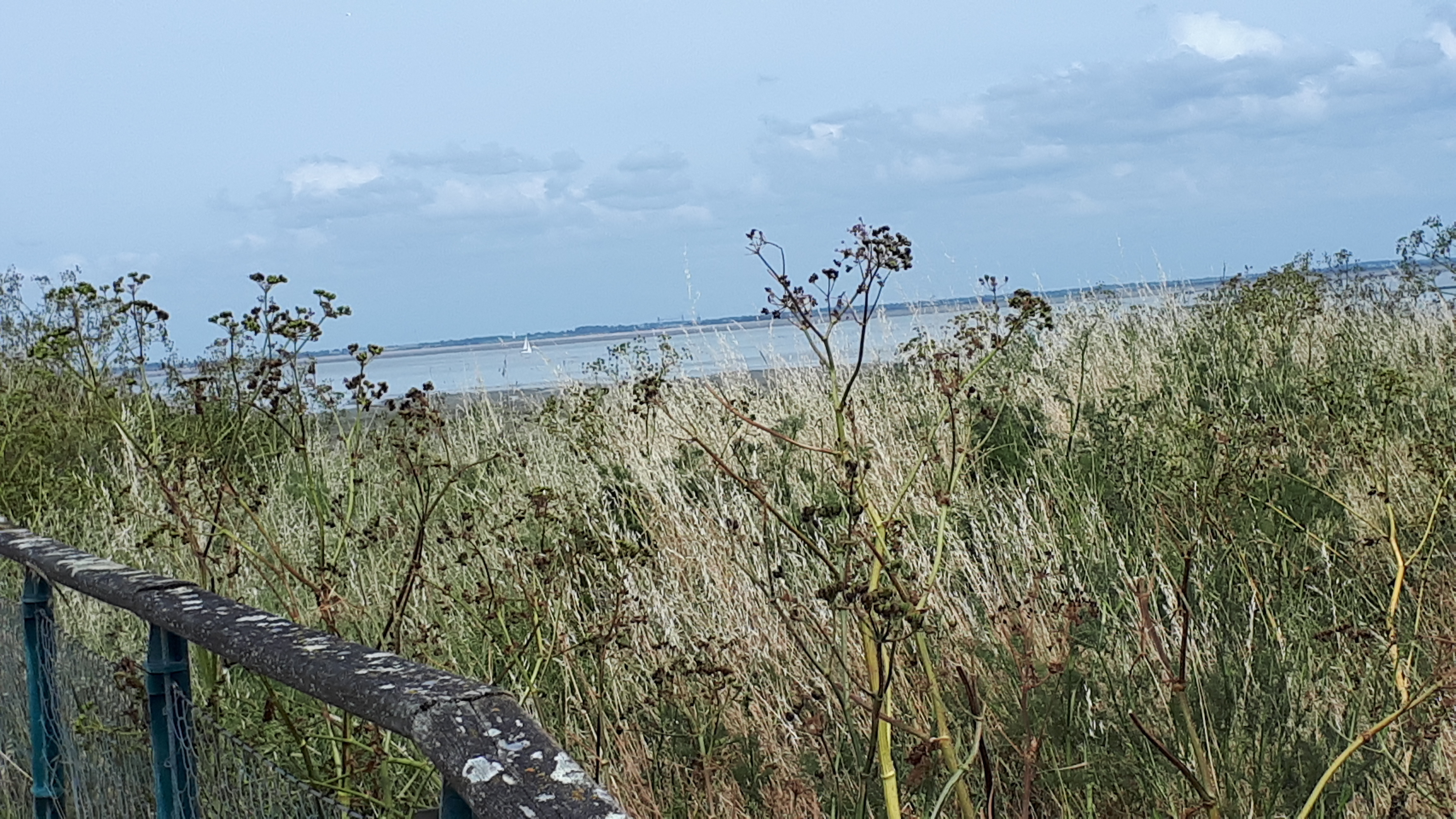 Photo n° 10 de l'avis de Christophe.e fait le 08/06/2019 à 14:57