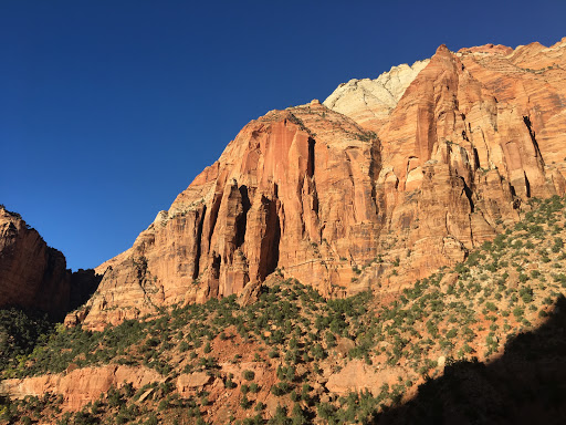 Elevate Printing, 2500 Decker Lake Blvd #7, West Valley City, UT 84119, USA, 