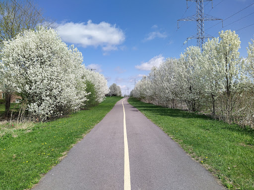 Park «Volunteer Park», reviews and photos, 8065 175th St, Tinley Park, IL 60477, USA