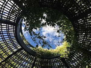 Secret Garden Tour In Newport RI - photo 16