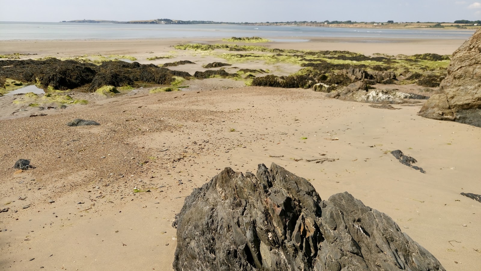 Bannow Island Beach photo #9