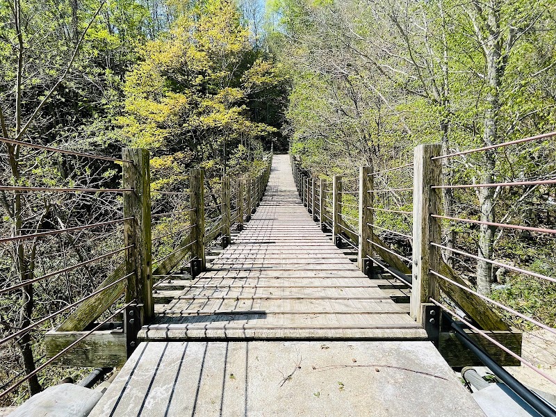 網張の森 湯の沢橋