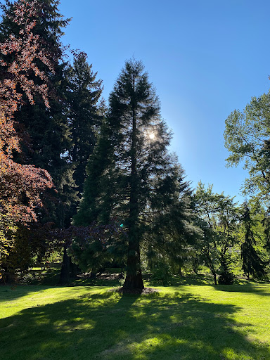 Park «Mark Twain Park», reviews and photos, 10625 132nd Ave NE, Kirkland, WA 98033, USA