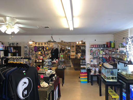 The Teacher Creature Store