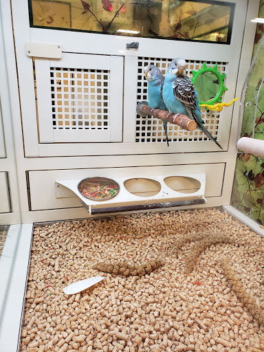 Pet Supply Store «PetSmart», reviews and photos, 9905 E Independence Blvd, Matthews, NC 28105, USA