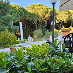 Photo n°2 de l'avis de Dani. fait le 07/04/2024 à 10:30 sur le  Ristorante Pizzeria Alexander à Rosolina Mare