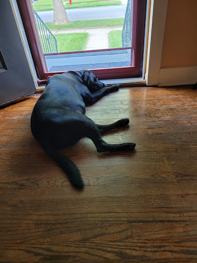 Pet Store «7 Seas Pet Care Center», reviews and photos, 13311 S Brandon Ave, Chicago, IL 60633, USA