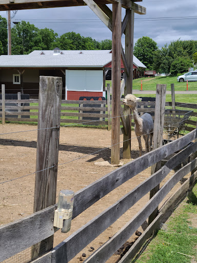 Orchard «Barton Orchards - Noxon Road Store Open Year Round - The Farm is CLOSED for the Season.», reviews and photos, 63 Apple Tree Ln, Poughquag, NY 12570, USA
