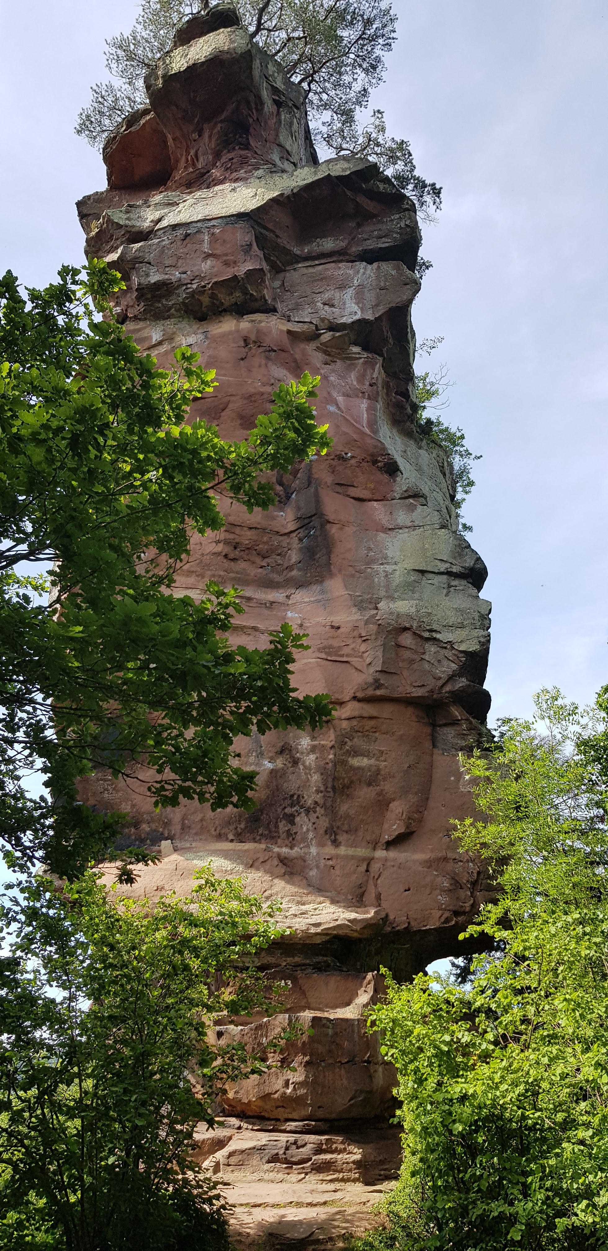 Photo n° 2 de l'avis de Véro.c fait le 15/06/2021 à 13:32