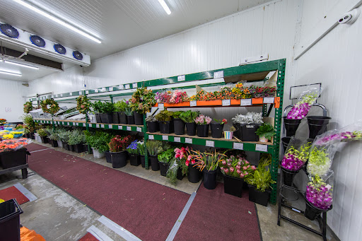 Florist «Sequoia Floral International», reviews and photos, 3245 Santa Rosa Ave, Santa Rosa, CA 95407, USA