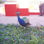 Photo n° 14 de l'avis de Nathalie.o fait le 20/08/2023 à 22:51 pour Les Jardins de Marqueyssac à Vezac