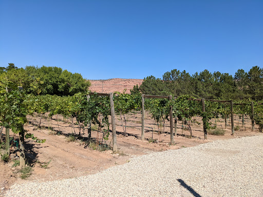 Winery «Spanish Valley Vineyard & Winery», reviews and photos, 4710 Zimmerman Ln, Moab, UT 84532, USA
