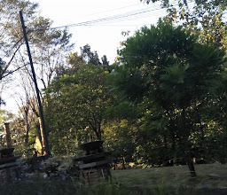 Taman FMIPA UNS photo
