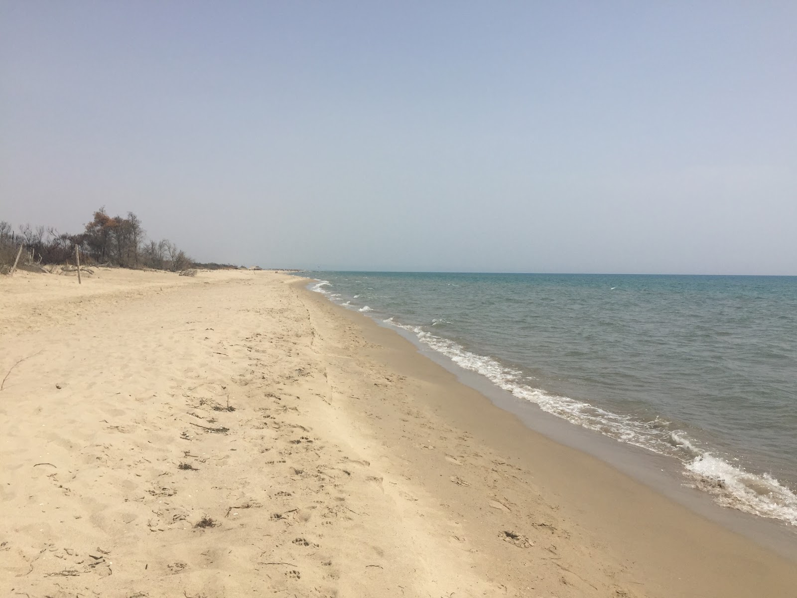 Zdjęcie Metaponto Lido beach II położony w naturalnym obszarze