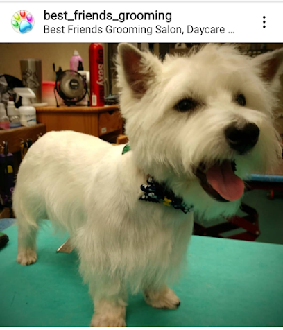 Best Friends Grooming, Daycare and Boarding