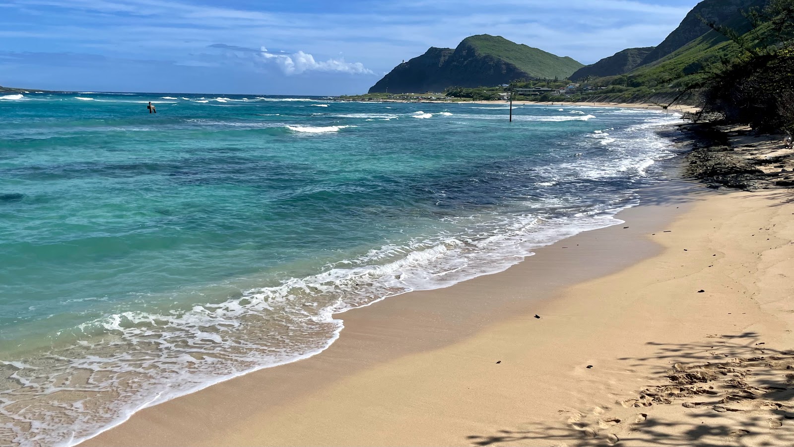Foto de Playa Makapuu con arena fina beige superficie