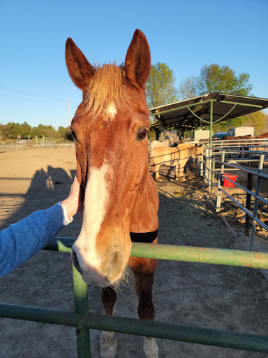 Rancho Potrero Community Equestrian Center