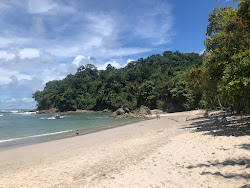 Foto von Playa Manuel Antonio wilde gegend