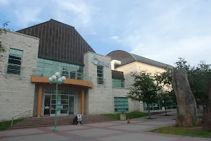 Ottawa City Hall image