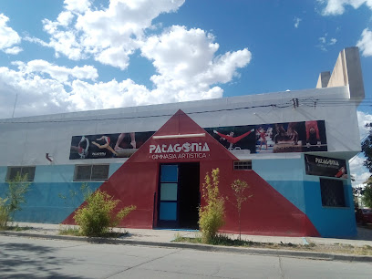 Patagonia - Escuela de Gimnasia Artística