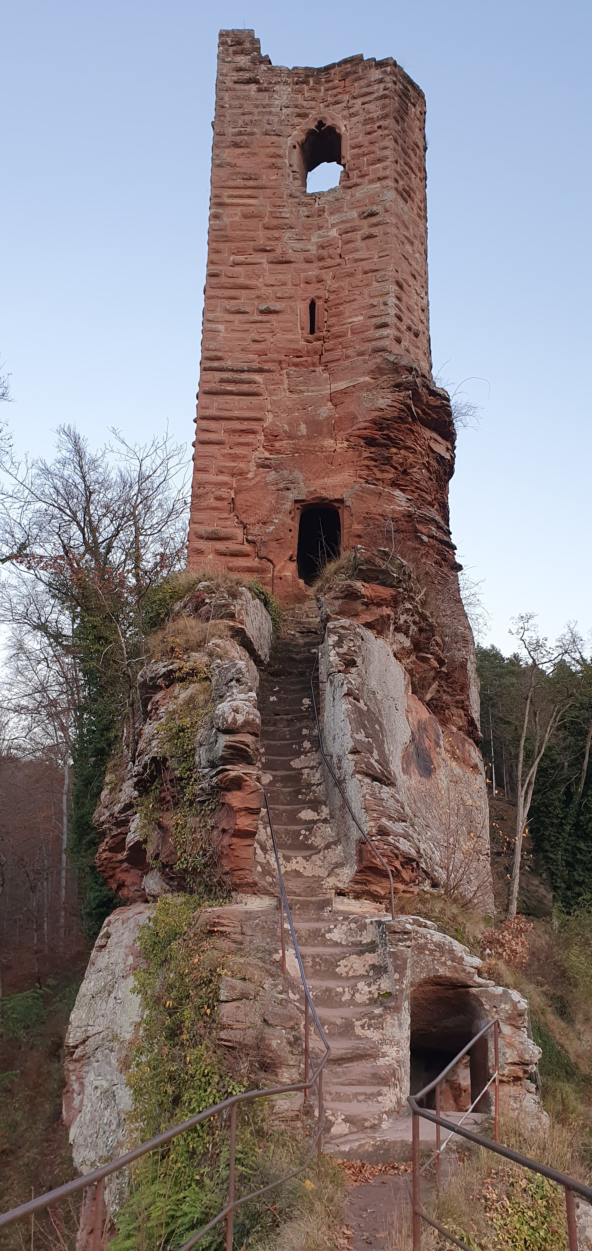 Photo n° 1 de l'avis de Vidar.. fait le 30/11/2021 à 06:44