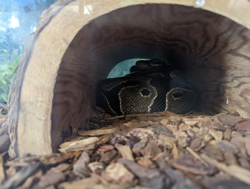 Pet Store «Just Pets», reviews and photos, 393 NY-5, Irving, NY 14081, USA