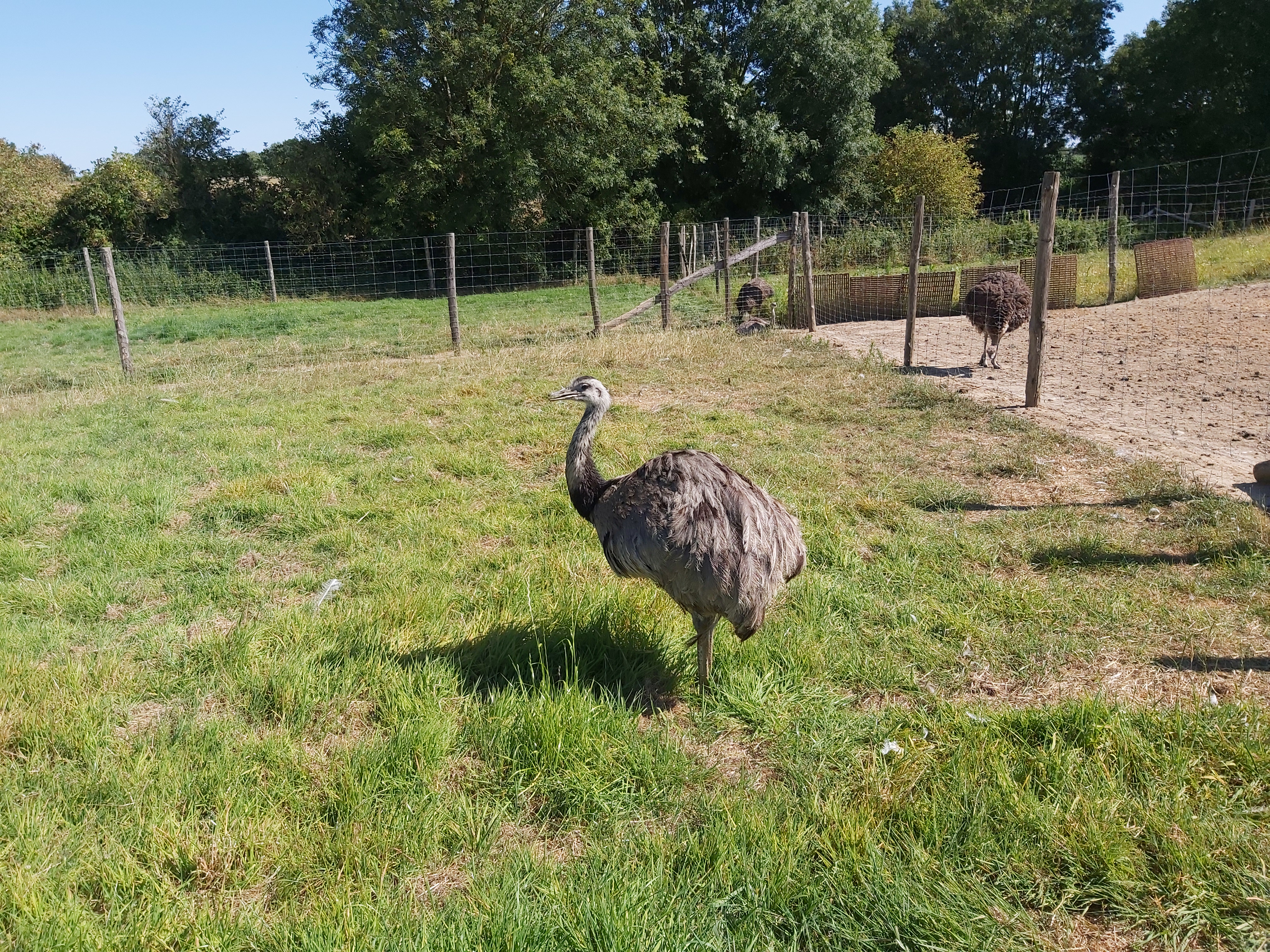 Photo n° 14 de l'avis de Guigeek_22. fait le 25/07/2020 à 21:01