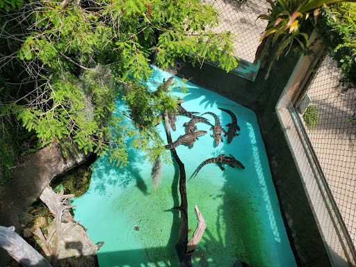 Aquarium «Florida Keys Aquarium Encounters», reviews and photos, 11710 Overseas Hwy, Marathon, FL 33050, USA