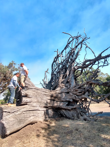 Farm «Oak Hill Farm», reviews and photos, 15101 CA-12, Glen Ellen, CA 95442, USA