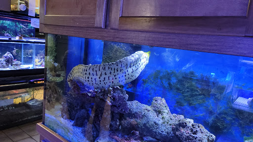 Pet Store «Moby Dick Pet Store Inc», reviews and photos, 3700 Sashabaw Rd, Waterford Twp, MI 48329, USA