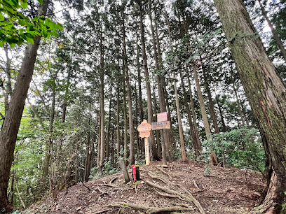 飯盛山（龍ヶ谷富士）