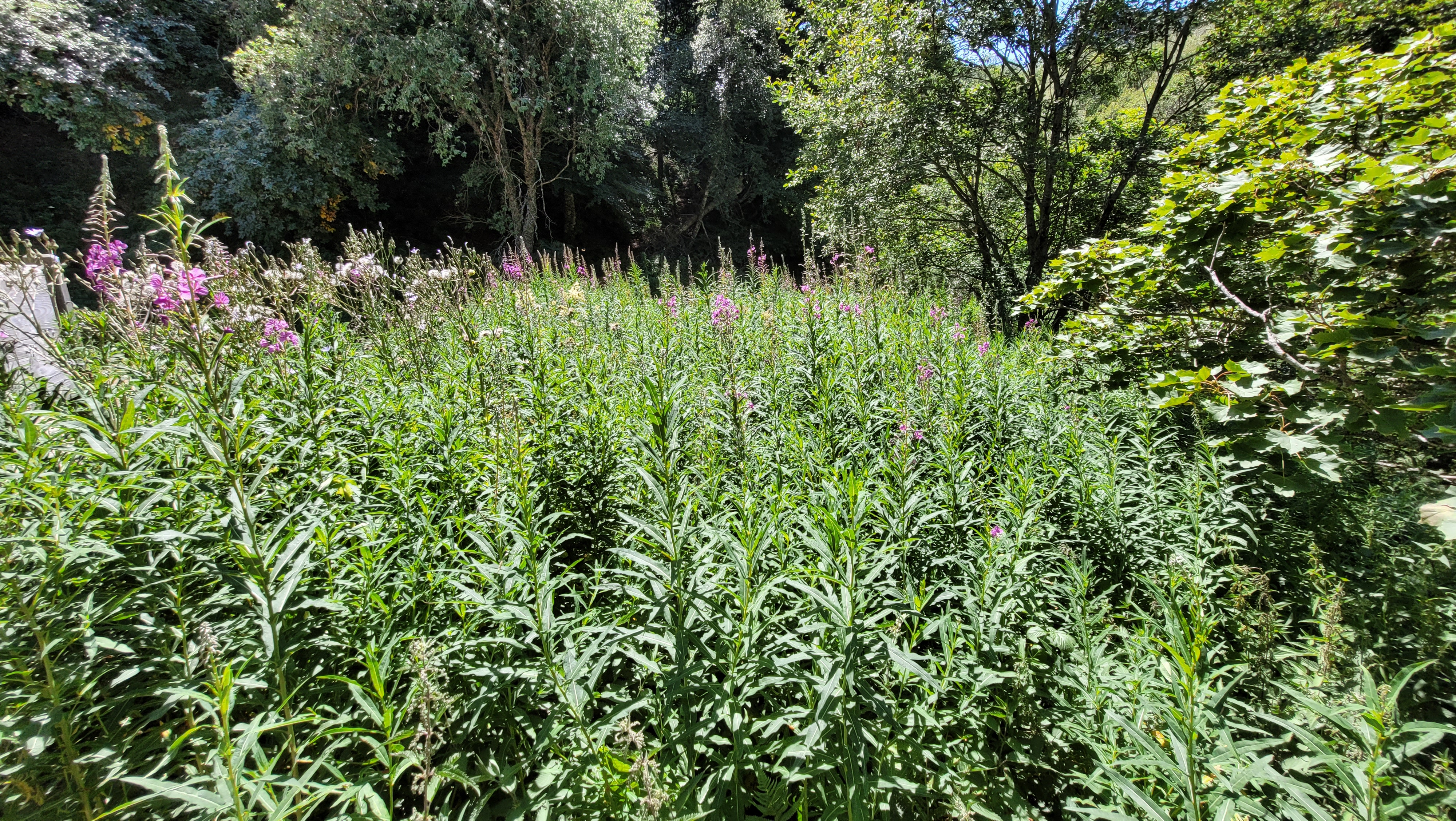 Photo n° 7 de l'avis de Nathalie.e fait le 27/09/2018 à 09:33