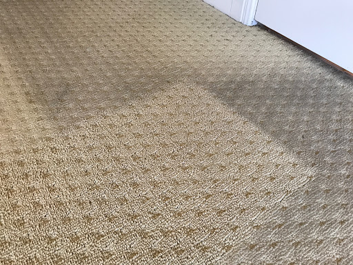 Zerorez Austin Carpet Cleaning